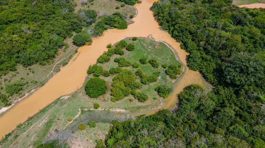 Aerial view of a winding river through lush green landscape at Hato La Aurora, Casanare, Colombia
