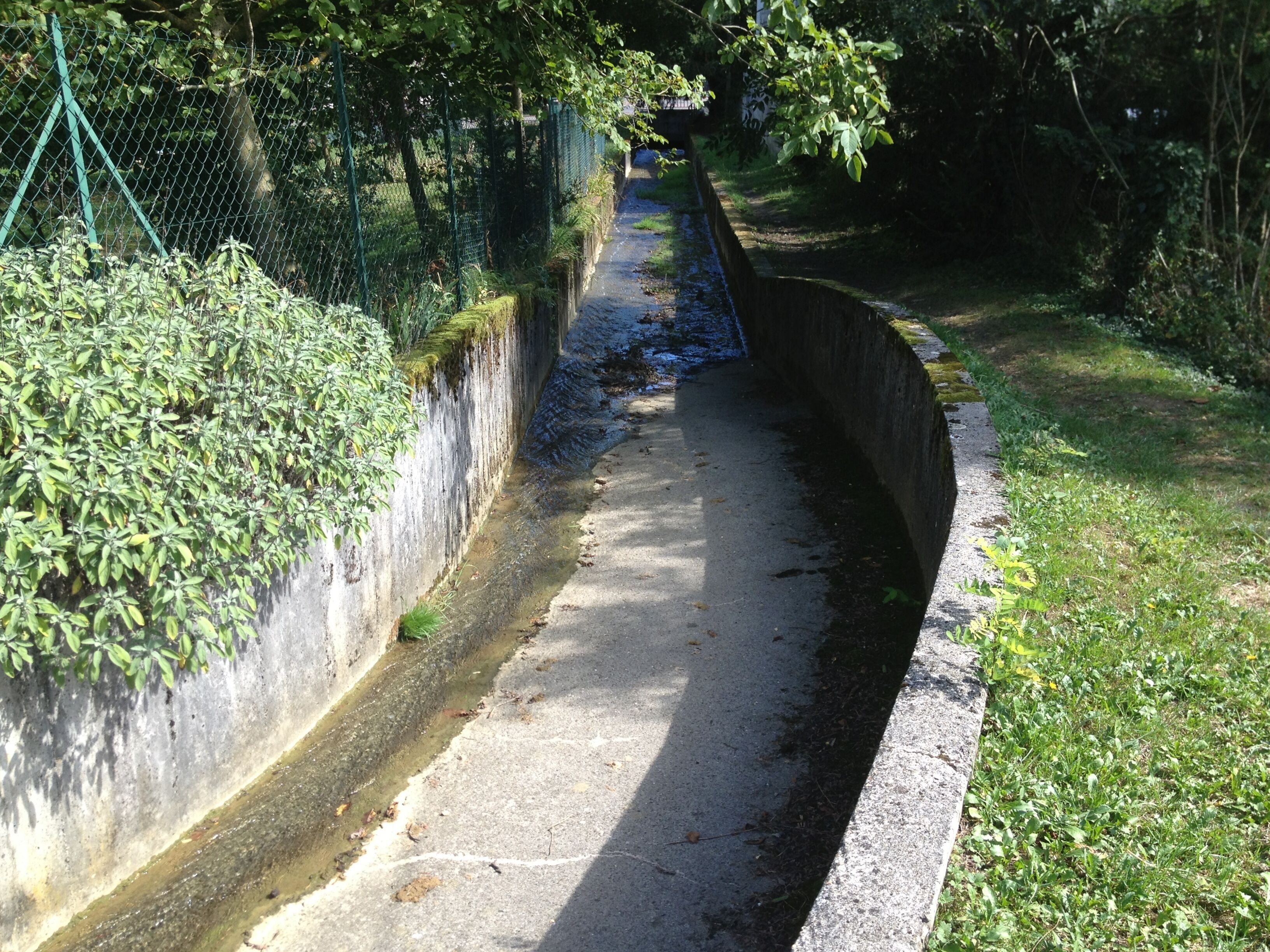 A narrow concrete channel with water, surrounded by greenery and a metal fence.