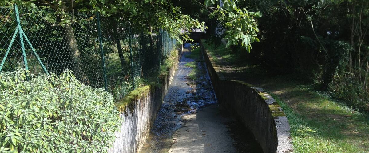 A narrow concrete channel with water, surrounded by greenery and a metal fence.