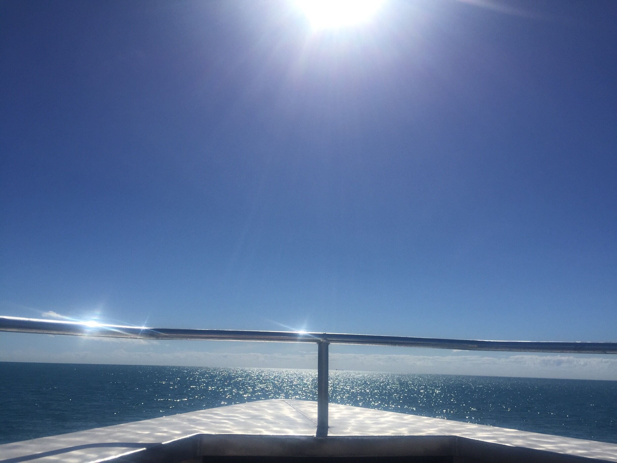 On my way to the Great Barrier Reef at the front of the boat☀️🐠 🐢⛵️
