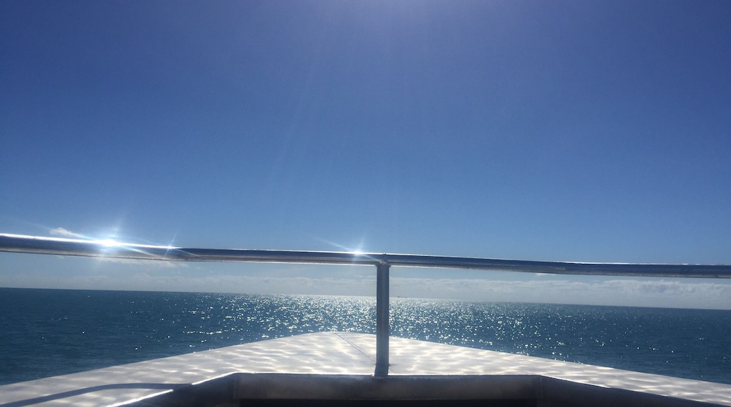 On my way to the Great Barrier Reef at the front of the boat☀️🐠 🐢⛵️