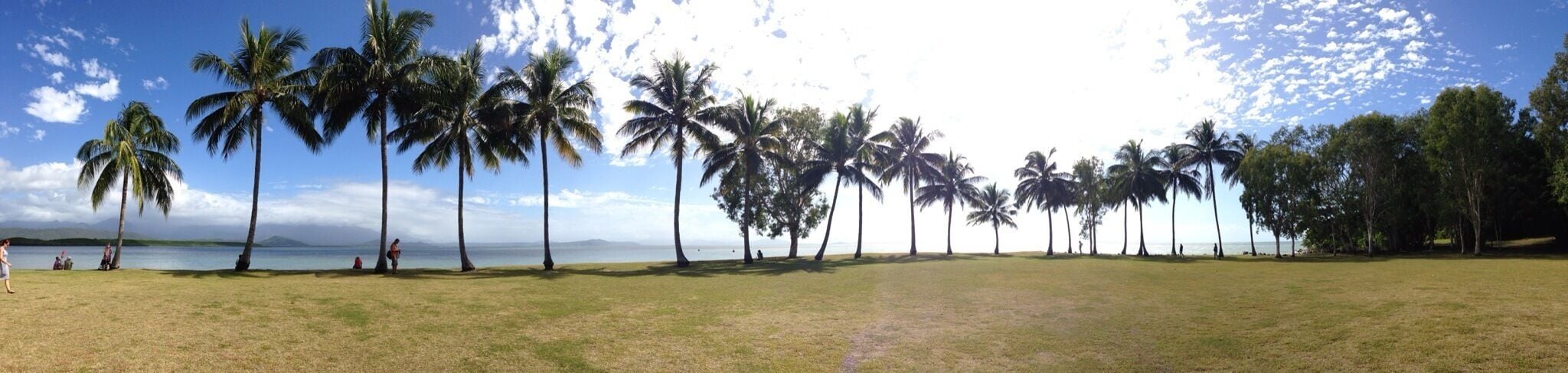 Gorgeous Tropical North Queensland #portdouglas #qld #relaxingunderapalm