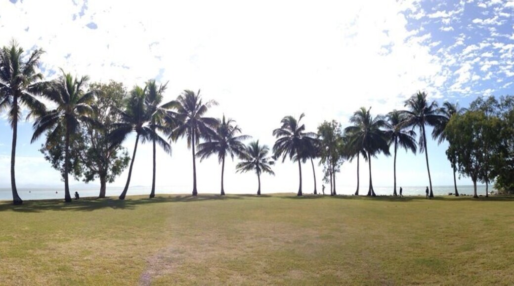 Gorgeous Tropical North Queensland #portdouglas #qld #relaxingunderapalm