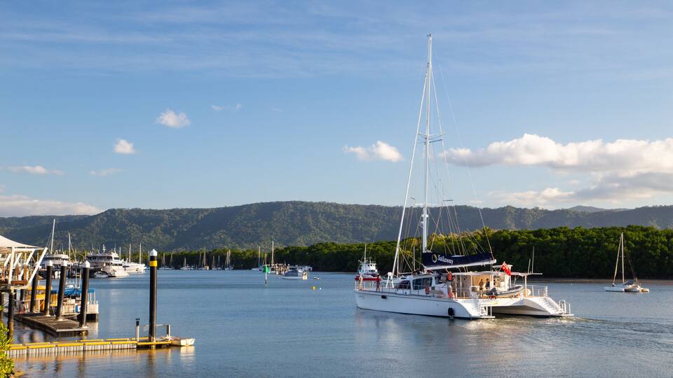 A marina with several sailboats docked, surrounded by a forested landscape and hills in the background.