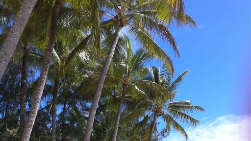 White sandy beach and crystal clear water