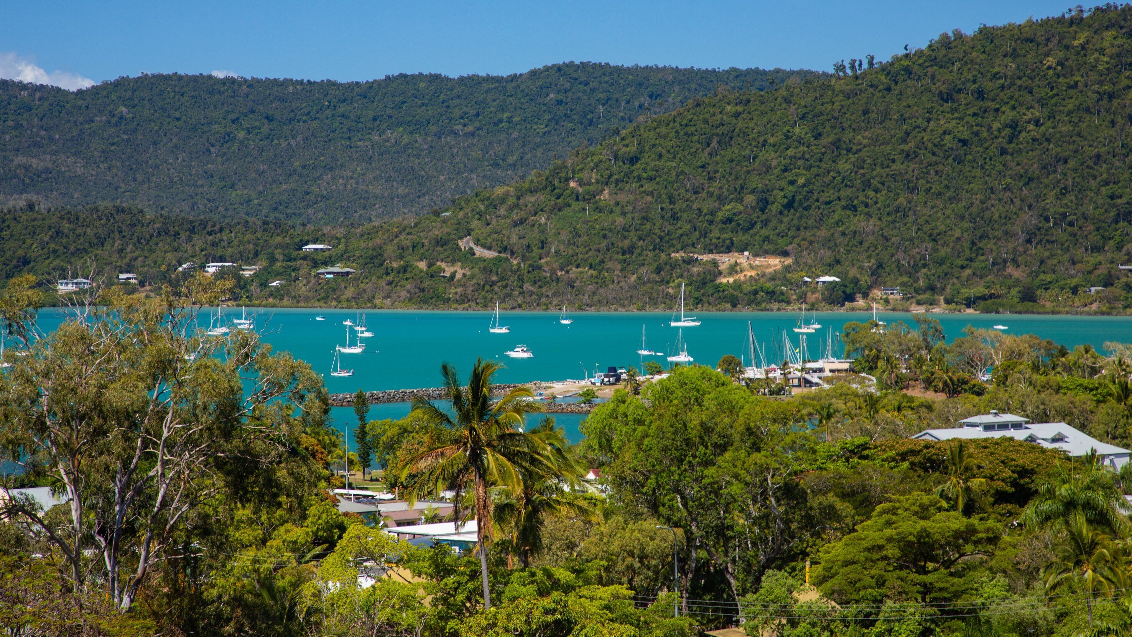 Airlie Beach showing general coastal views and a bay or harbor