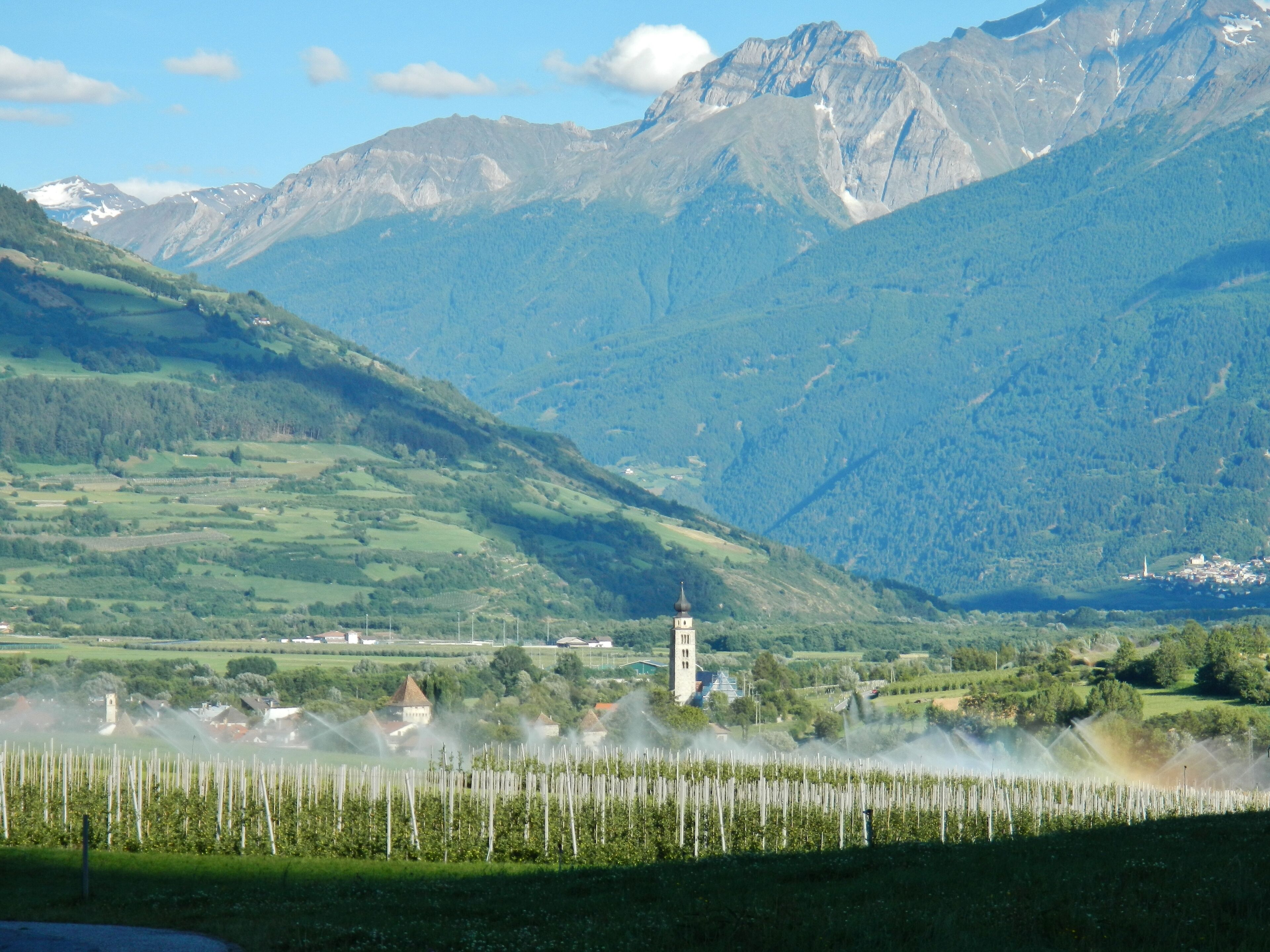 A vineyard with a tower and mountains in the background.