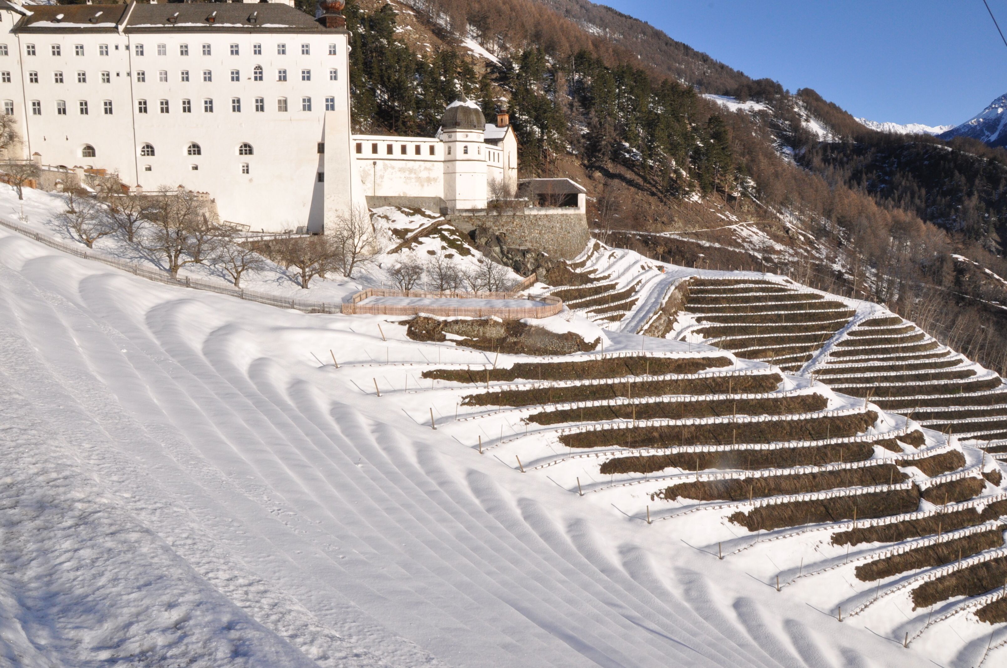 A snow-covered vineyard with terraced rows and a large building in the background.