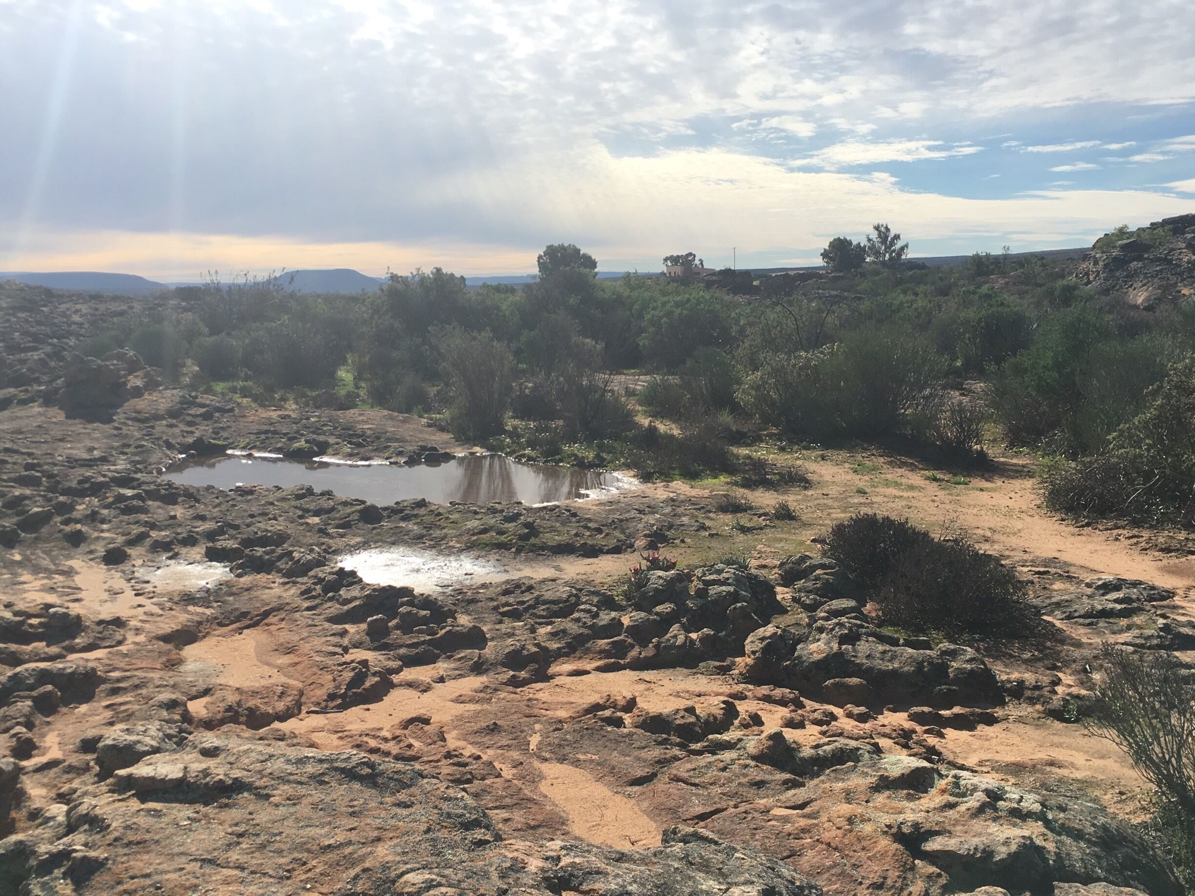 A rocky terrain with scattered puddles and sparse vegetation.