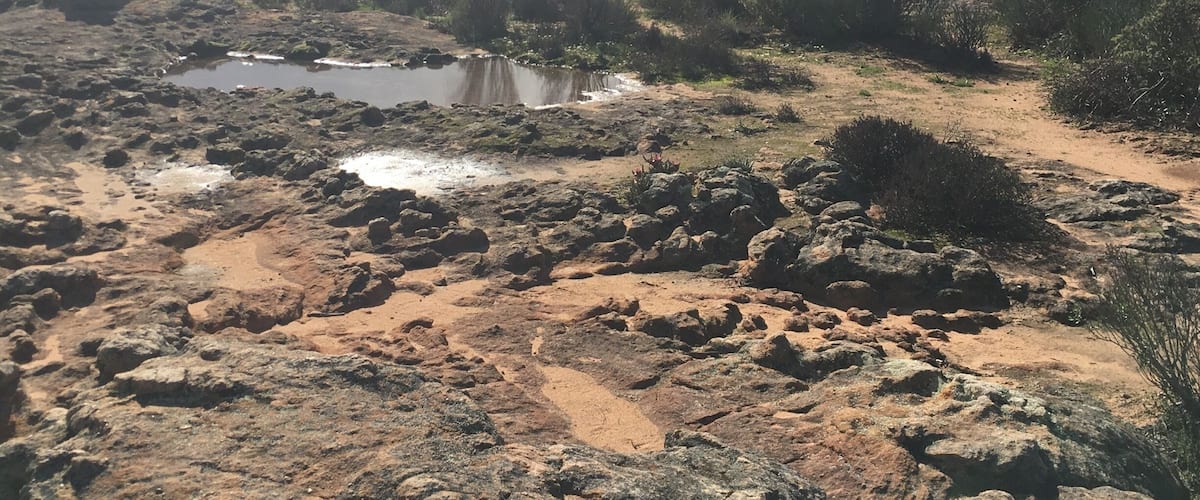 A rocky terrain with scattered puddles and sparse vegetation.