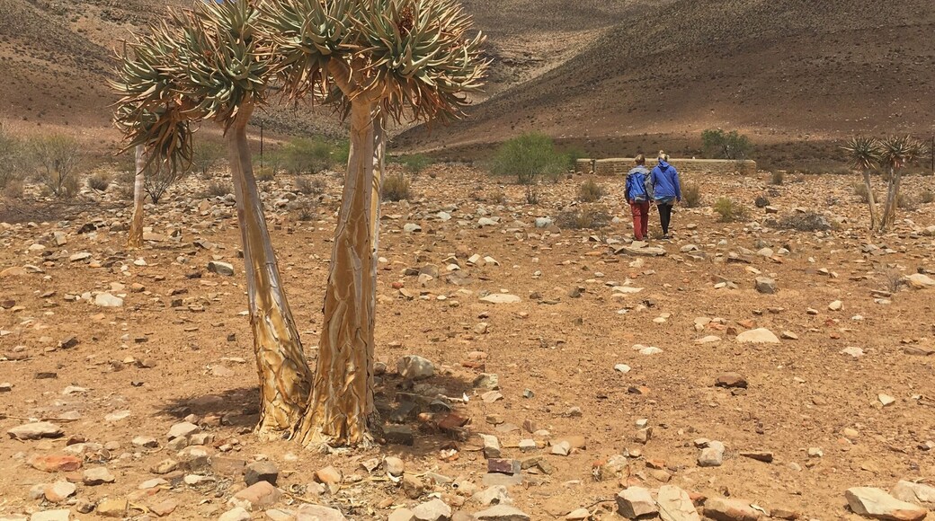 The Cederberg region of the Western Cape with its surrounding mountains and unique landscape is a real favourite spot of mine to get away to when visiting South Africa.
#Cederberg #SouthAfrica
