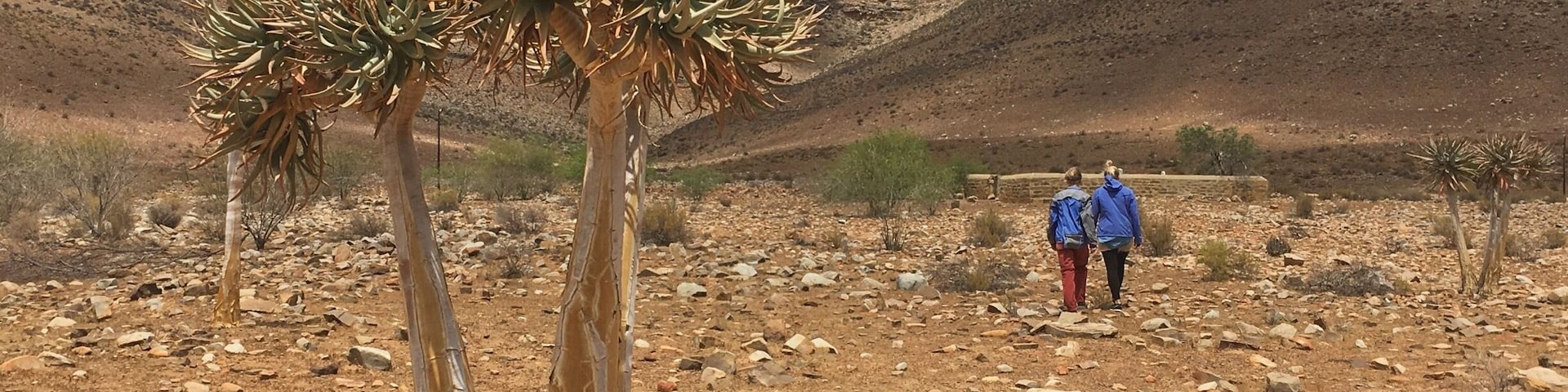 The Cederberg region of the Western Cape with its surrounding mountains and unique landscape is a real favourite spot of mine to get away to when visiting South Africa.
#Cederberg #SouthAfrica