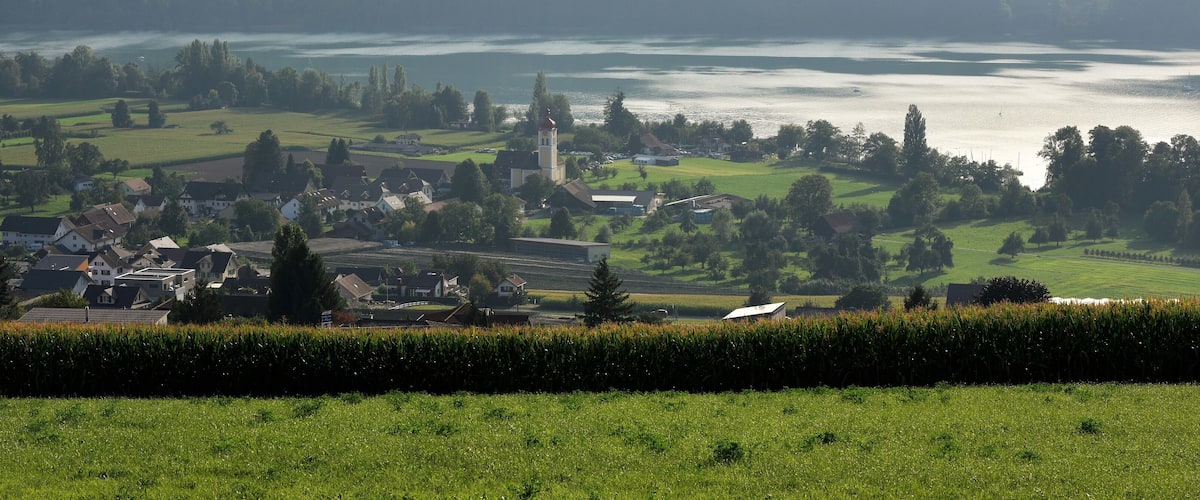 A rural landscape with a church, houses, and fields.