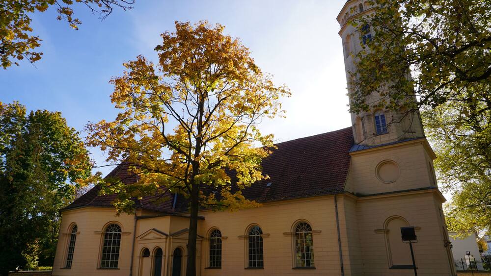 A church with a large tree in front and a clock tower.