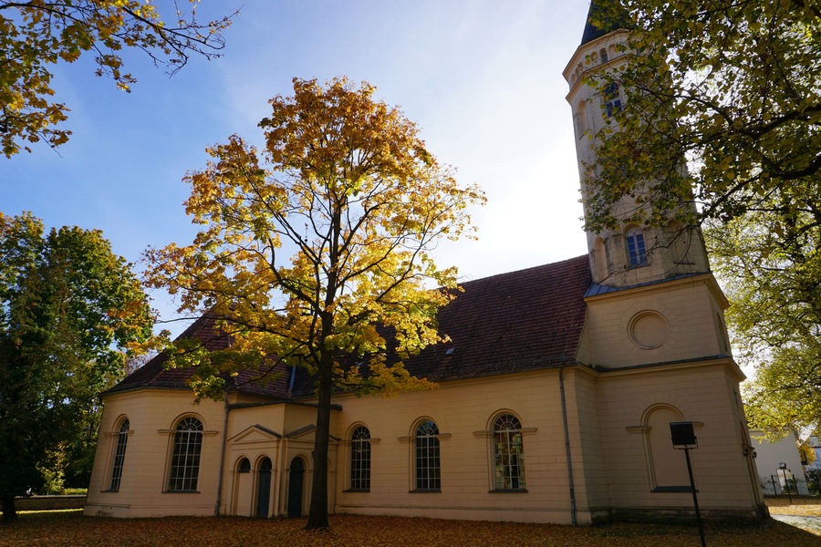 En kyrka med ett stort träd framför och ett klocktorn.