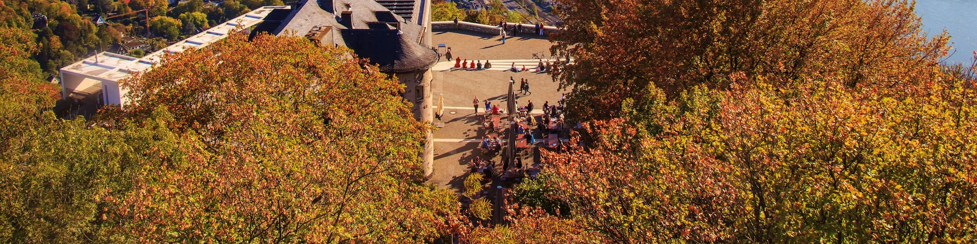 Blick vom Drachenfels auf den Rhein im Herbst