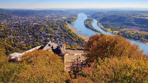 Blick vom Drachenfels auf den Rhein im Herbst
