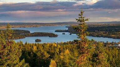 A lake surrounded by dense forests and a small town.