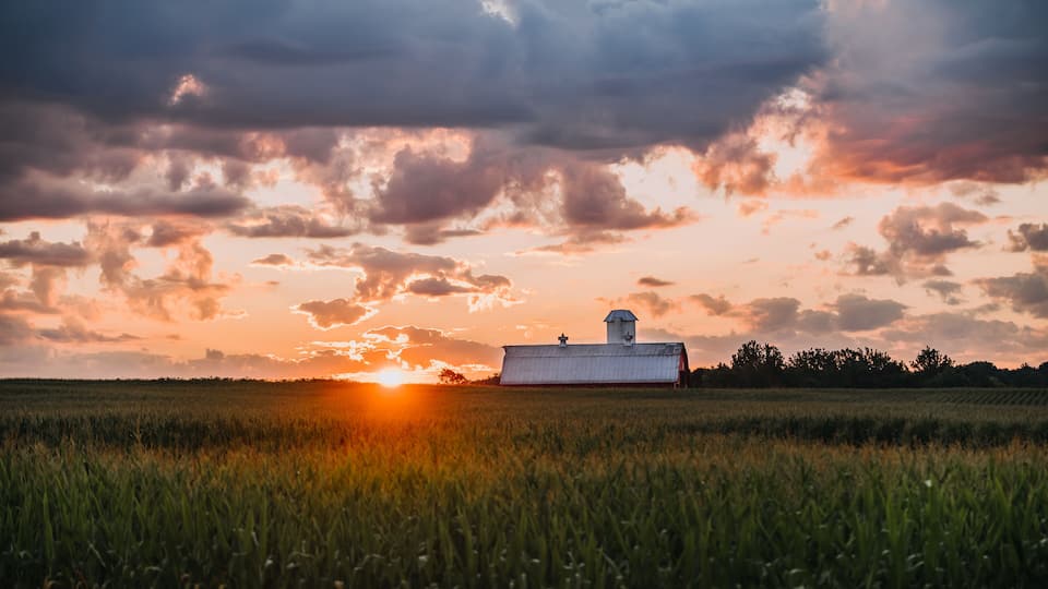 A barn in a field with a sunset in the background.
