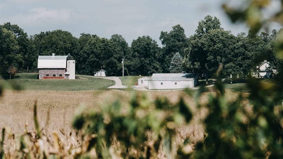 A rural landscape with a barn, a silo, and a small house surrounded by trees and fields.