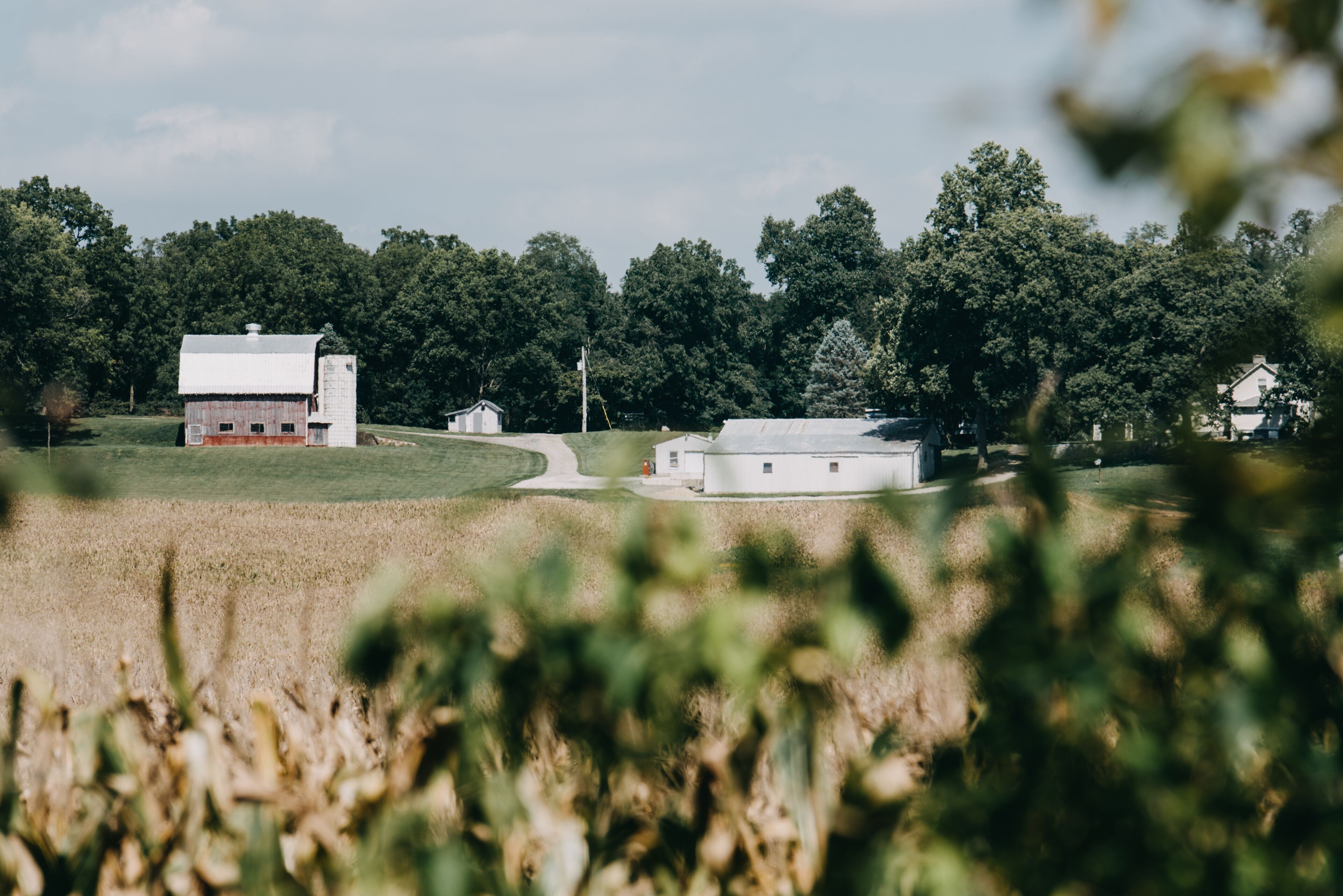 A rural landscape with a barn, a silo, and a small house surrounded by trees and fields.