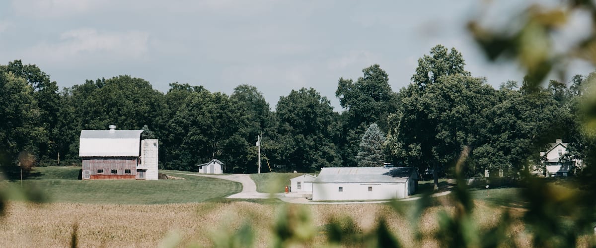 A rural landscape with a barn, a silo, and a small house surrounded by trees and fields.