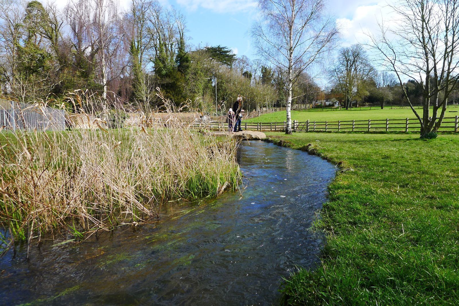 The River Misbourne flowing well through Chalfont St Giles, Bucks