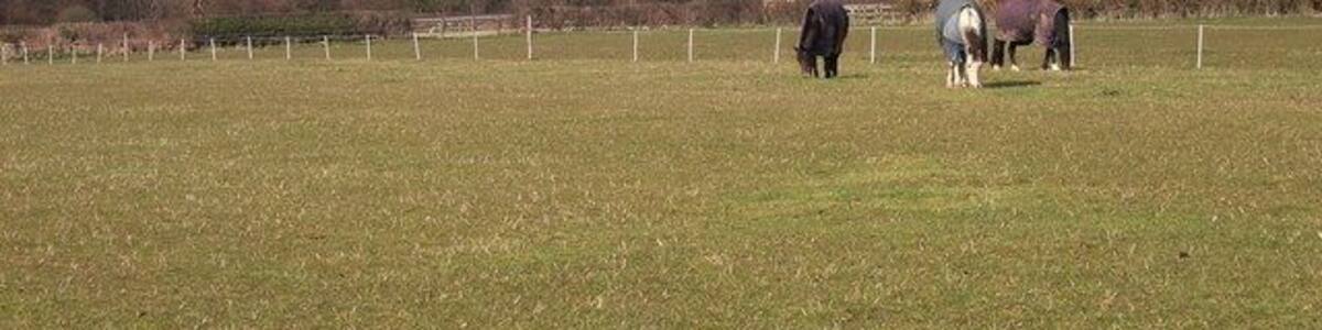West of Chalfont St Giles View to Hodgemoor Wood. Sunshine in between heavy April showers.