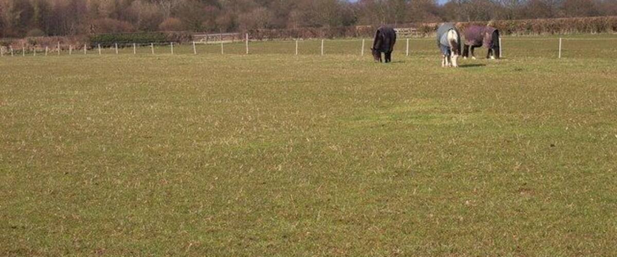 West of Chalfont St Giles View to Hodgemoor Wood. Sunshine in between heavy April showers.