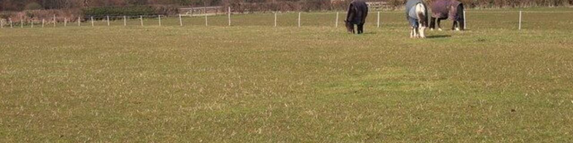 West of Chalfont St Giles View to Hodgemoor Wood. Sunshine in between heavy April showers.