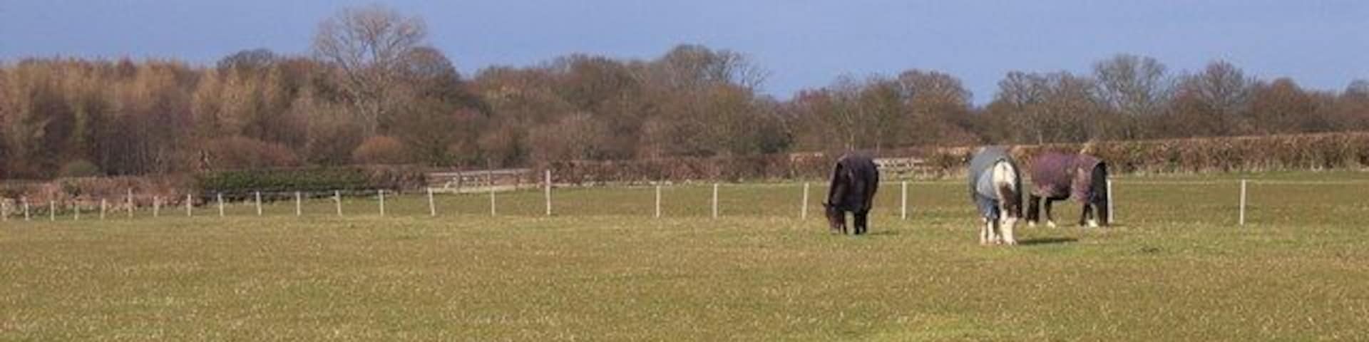 West of Chalfont St Giles View to Hodgemoor Wood. Sunshine in between heavy April showers.