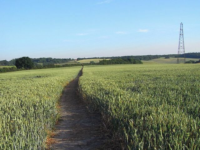 Footpath through wheat near Amersham The path is on the relatively flat top of the ridge on the southwest side of the Misbourne valley before its descent into the dry valley at Upper Bottom House Farm.