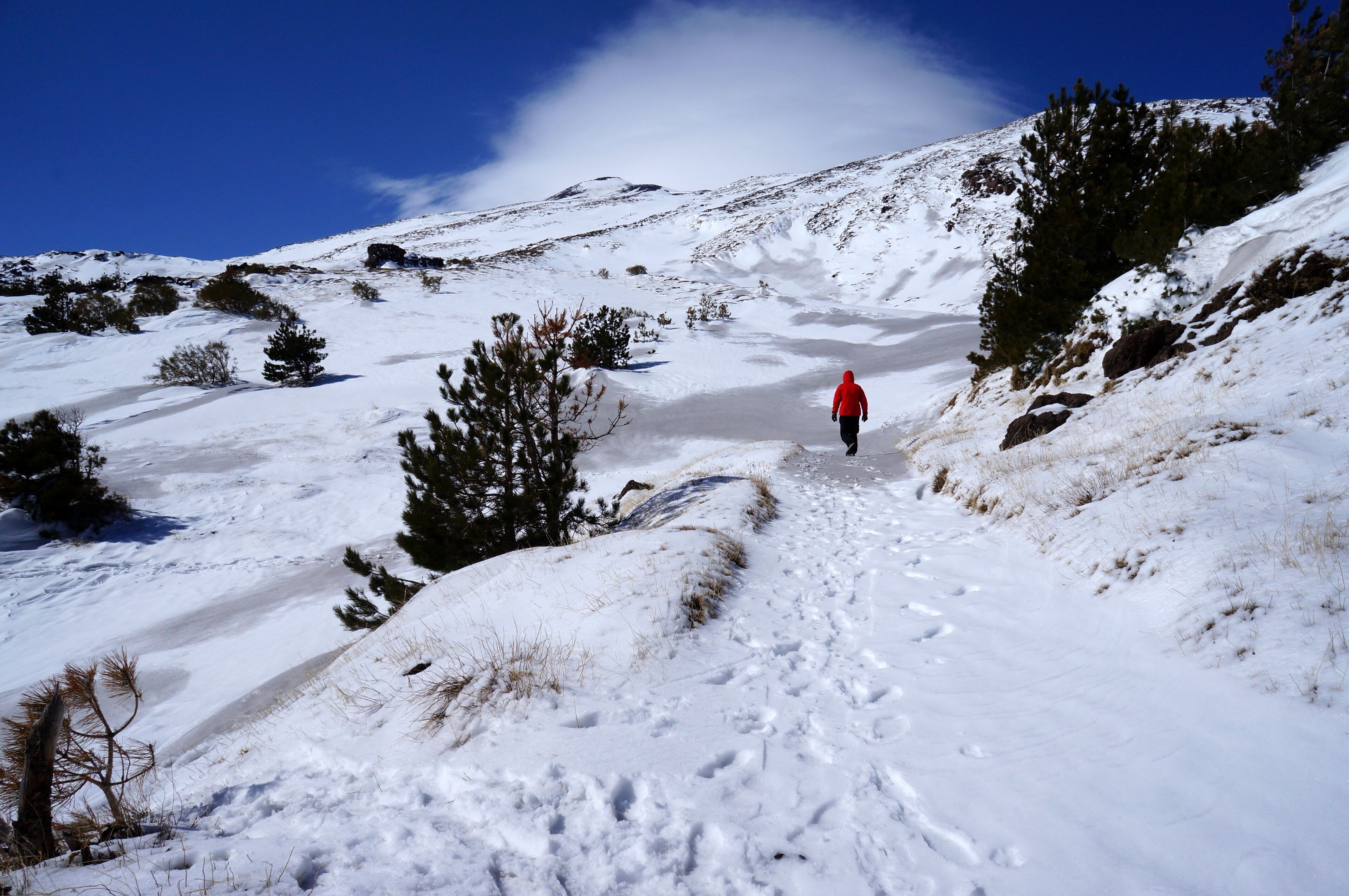 Etna volcano - Sicilia - Italia