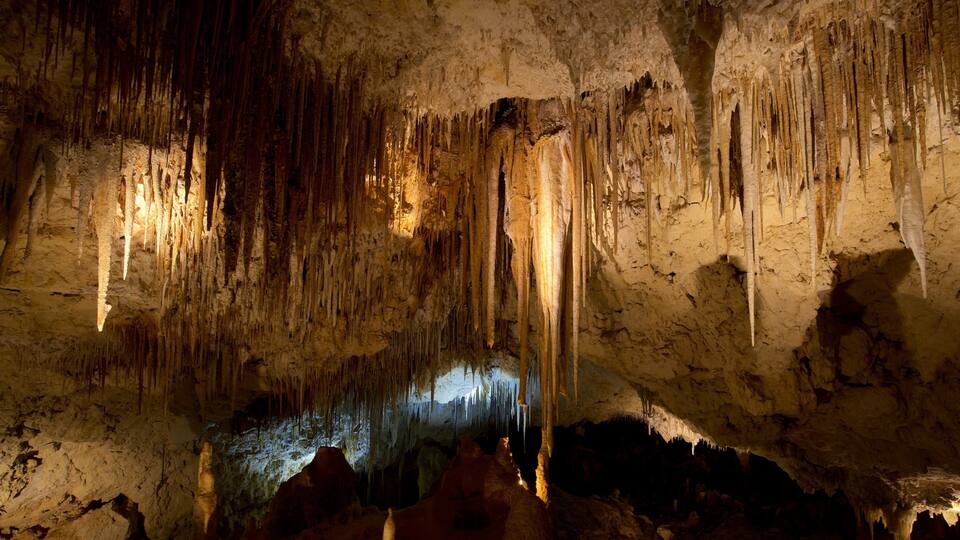A cave with stalactites hanging from the ceiling and stalagmites rising from the ground.