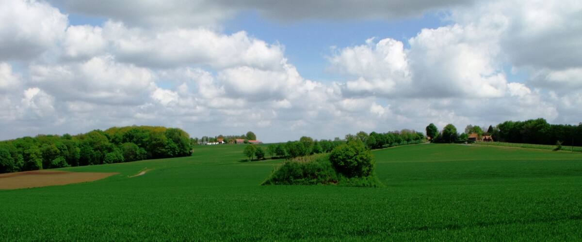 A green field with scattered trees and a cloudy sky.