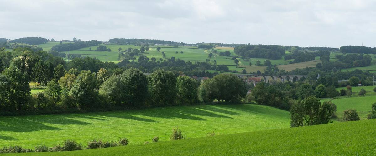 Rolling green hills, a bridge, and scattered trees.