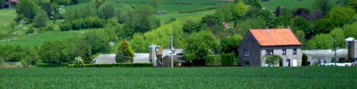 A rural landscape with a house, fields, and scattered trees.