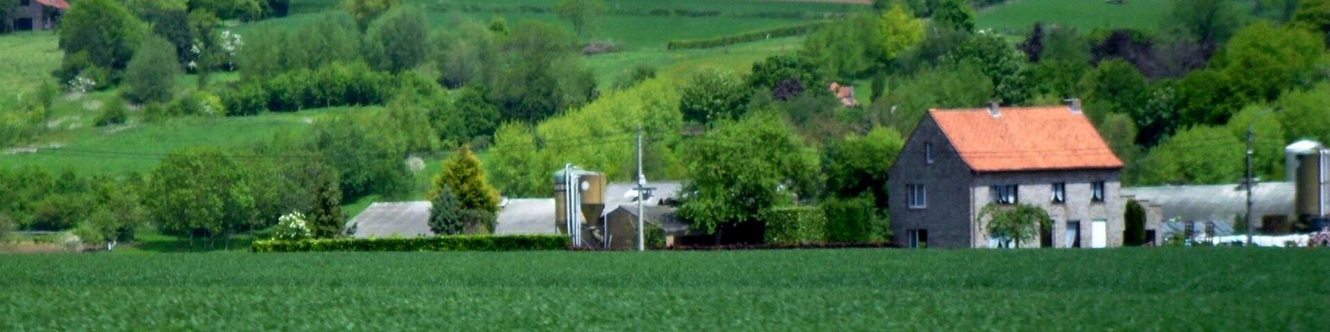 A rural landscape with a house, fields, and scattered trees.