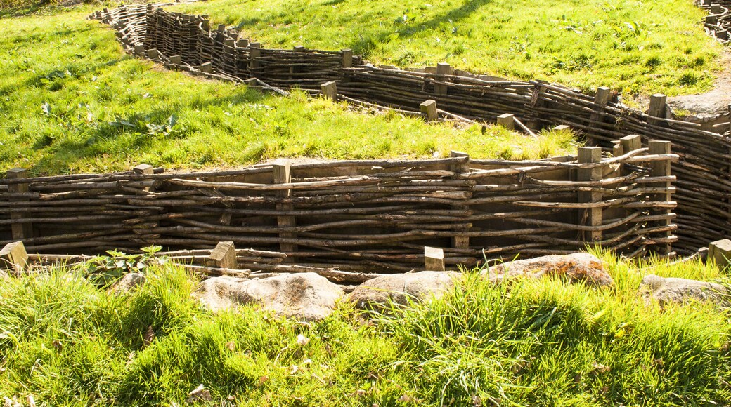 Bayernwald wooden trench of world war 1