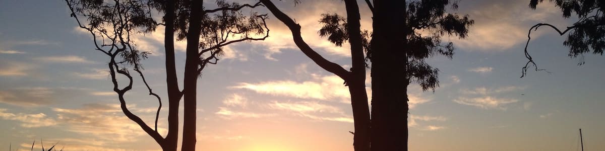 Another great sunset