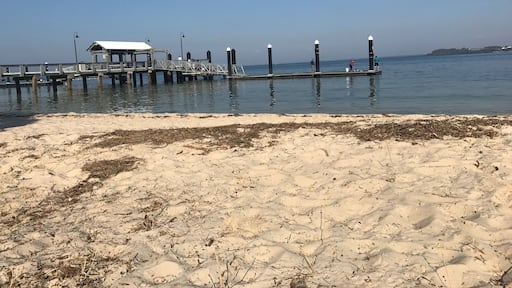 Bribie Island...calm side .. plenty of BBQs playground and grassy areas for picnics