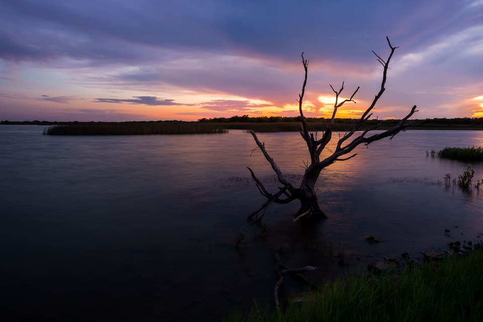 Ein Sonnenuntergang über einem ruhigen Fluss, im Vordergrund ein markanter, abgestorbener Baum.