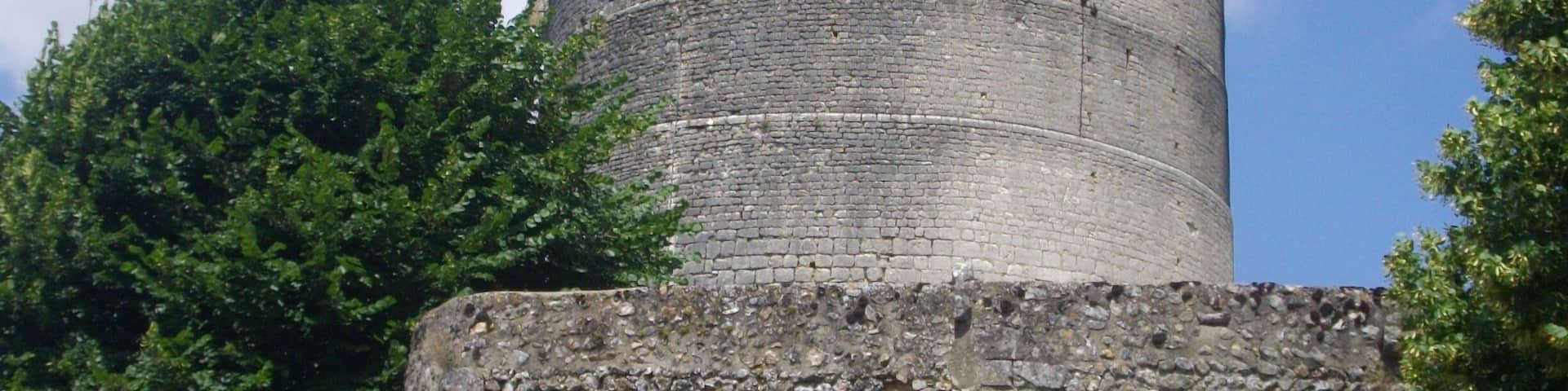 A historic stone tower with a conical roof, surrounded by lush greenery and flowering plants.