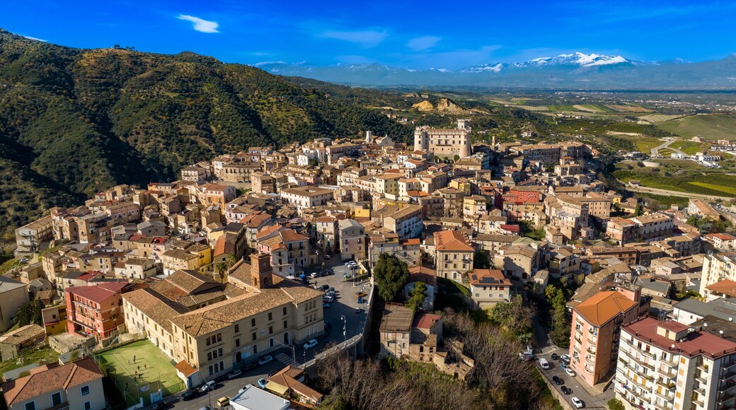 ์ฝ๋ฆด๋ฆฌ์๋
ธ ์นผ๋ผ๋ธ๋ก