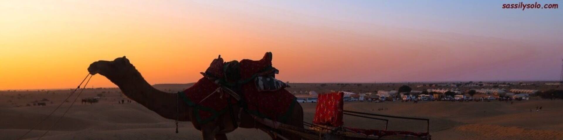 I am not a big fan of riding camels. Hence, what is called as a 'camel safari' was a complete 'no-no' for me.
However, I wish I could understand how they felt....