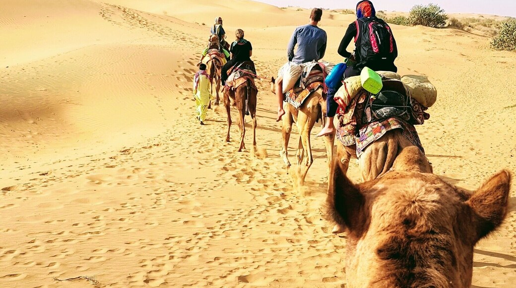 Camel Safari in Jaisalmer where you can sleep under the stars ❤
#india
#camelsafari
#jaisalmer