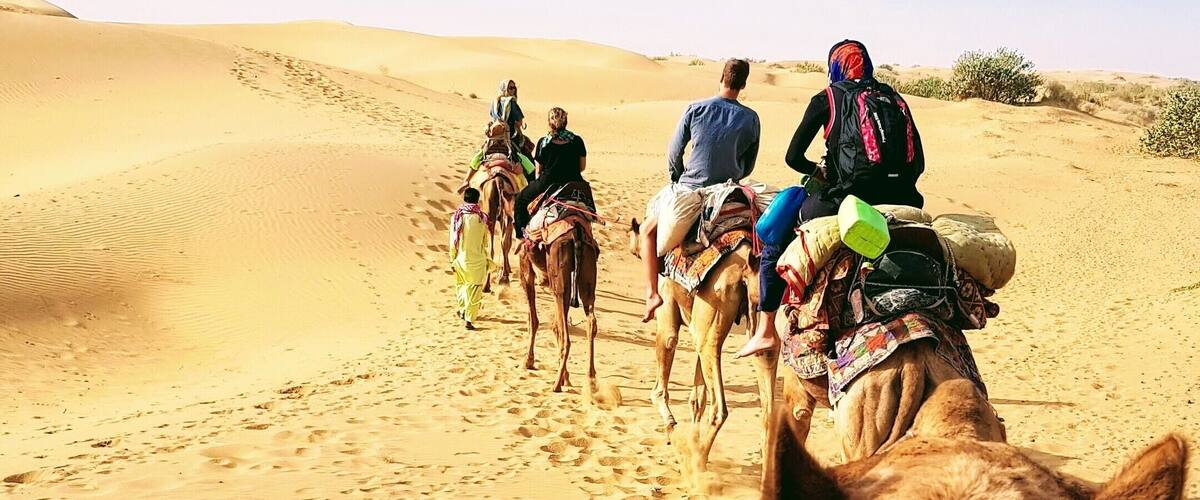 Camel Safari in Jaisalmer where you can sleep under the stars ❤
#india
#camelsafari 
#jaisalmer