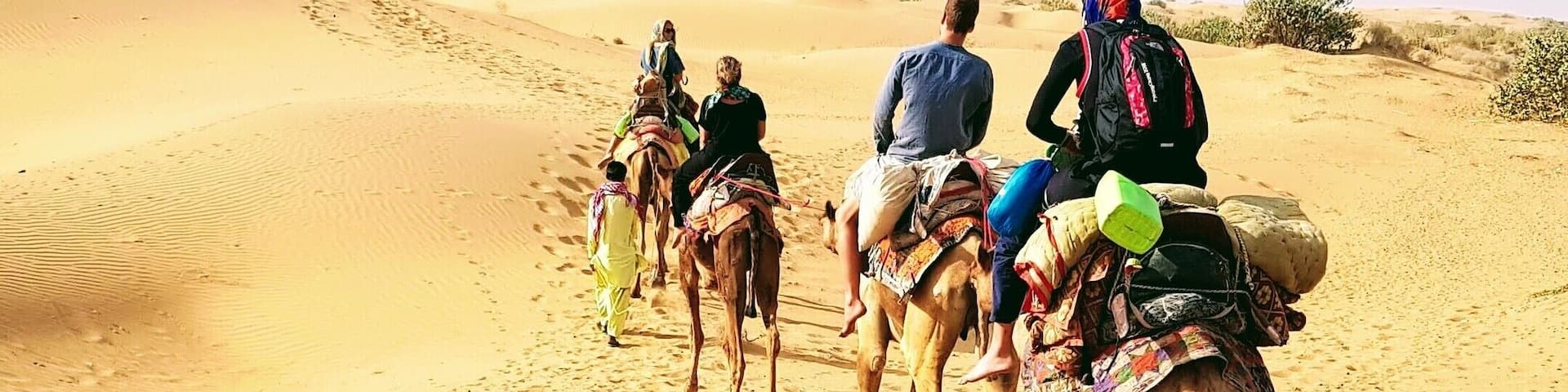Camel Safari in Jaisalmer where you can sleep under the stars ❤
#india
#camelsafari
#jaisalmer