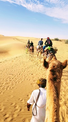 Camel Safari in Jaisalmer where you can sleep under the stars ❤
#india
#camelsafari 
#jaisalmer