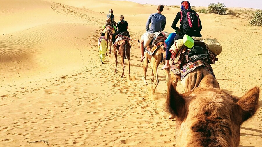 Camel Safari in Jaisalmer where you can sleep under the stars โค
#india
#camelsafari
#jaisalmer